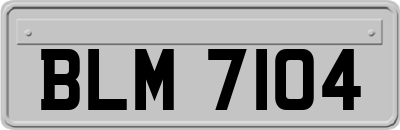 BLM7104