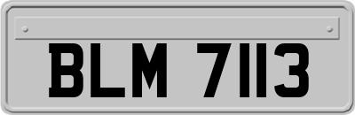 BLM7113