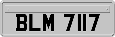 BLM7117