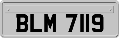 BLM7119