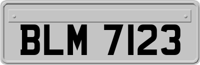 BLM7123