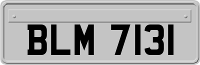 BLM7131