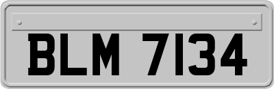 BLM7134