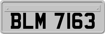 BLM7163