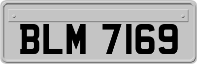 BLM7169