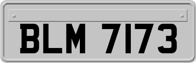 BLM7173