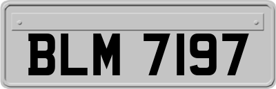 BLM7197