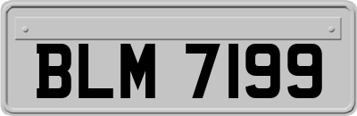 BLM7199