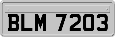 BLM7203