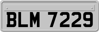 BLM7229