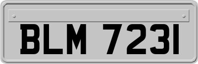 BLM7231