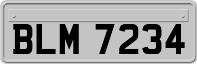 BLM7234