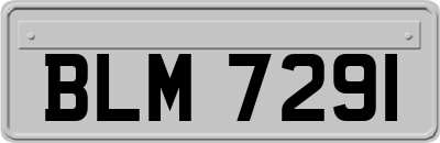 BLM7291