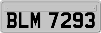 BLM7293