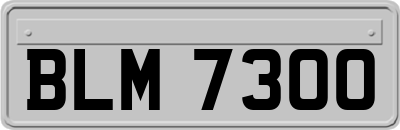 BLM7300