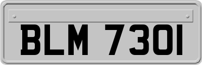 BLM7301