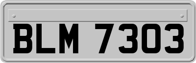 BLM7303
