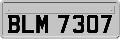 BLM7307