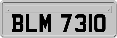 BLM7310