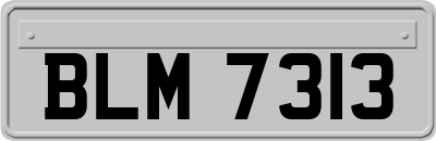 BLM7313
