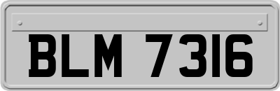 BLM7316