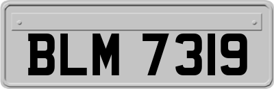 BLM7319