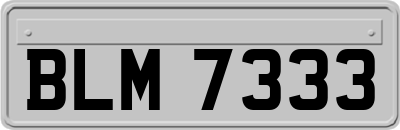 BLM7333