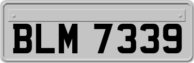 BLM7339