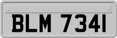 BLM7341
