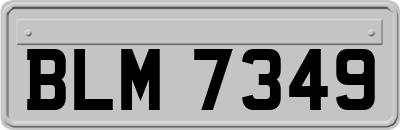 BLM7349