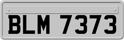 BLM7373