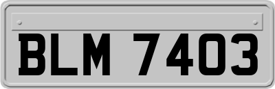 BLM7403