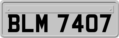 BLM7407
