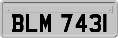 BLM7431