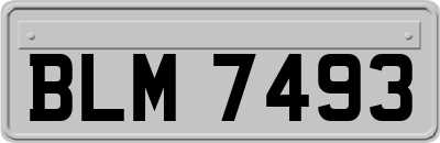BLM7493