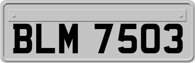 BLM7503