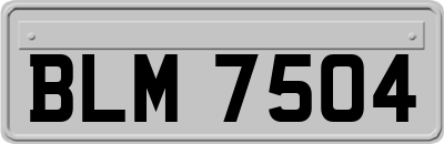 BLM7504