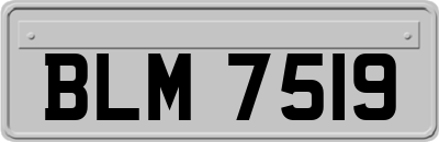 BLM7519