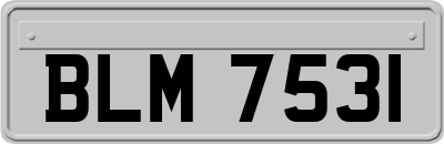 BLM7531