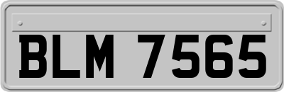 BLM7565