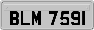 BLM7591