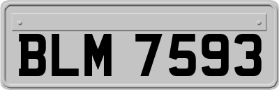 BLM7593