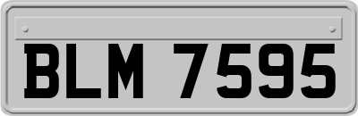 BLM7595
