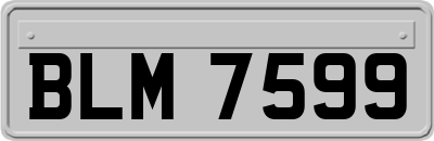 BLM7599