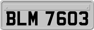 BLM7603