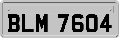 BLM7604