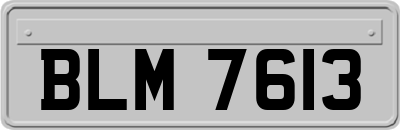 BLM7613