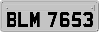 BLM7653