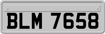 BLM7658