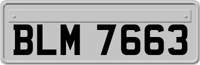 BLM7663